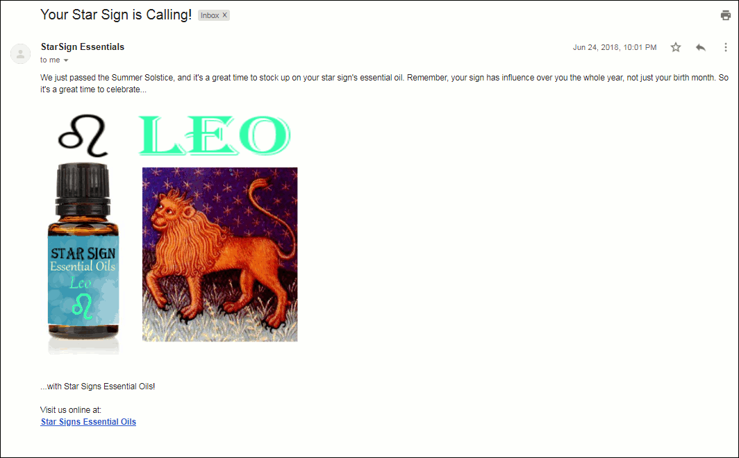 The email Ron (the Leo) receives showing a Leo-related image.