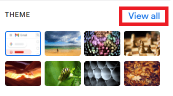 View all button