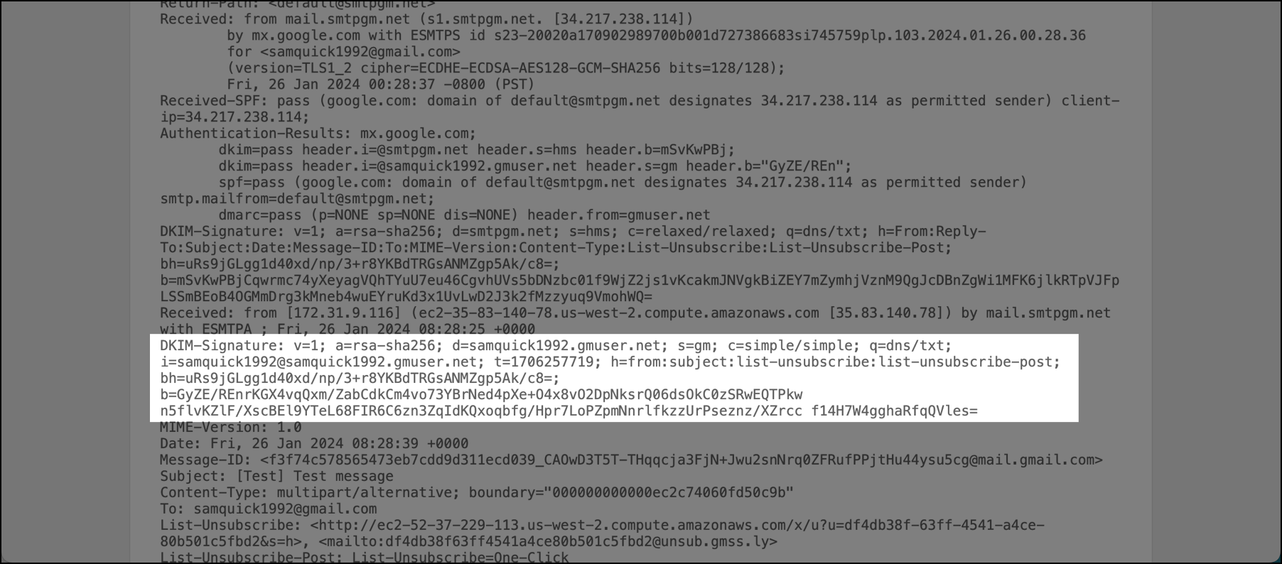 The custom DKIM record