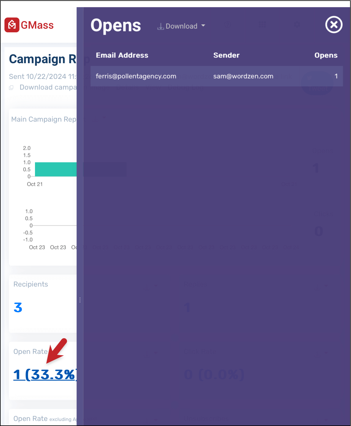 The flyout with details in the campaigh report