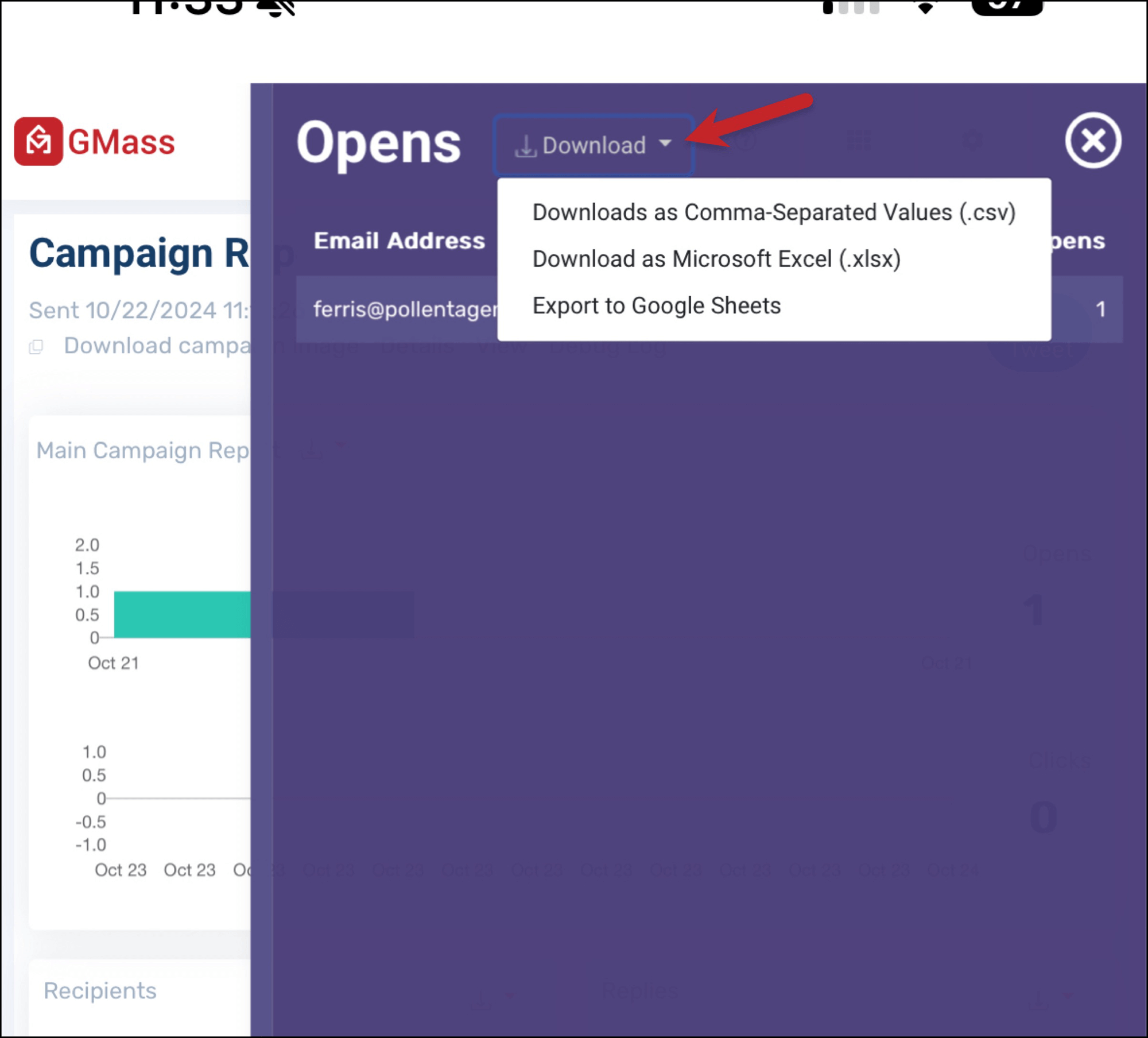 Download campaign reports