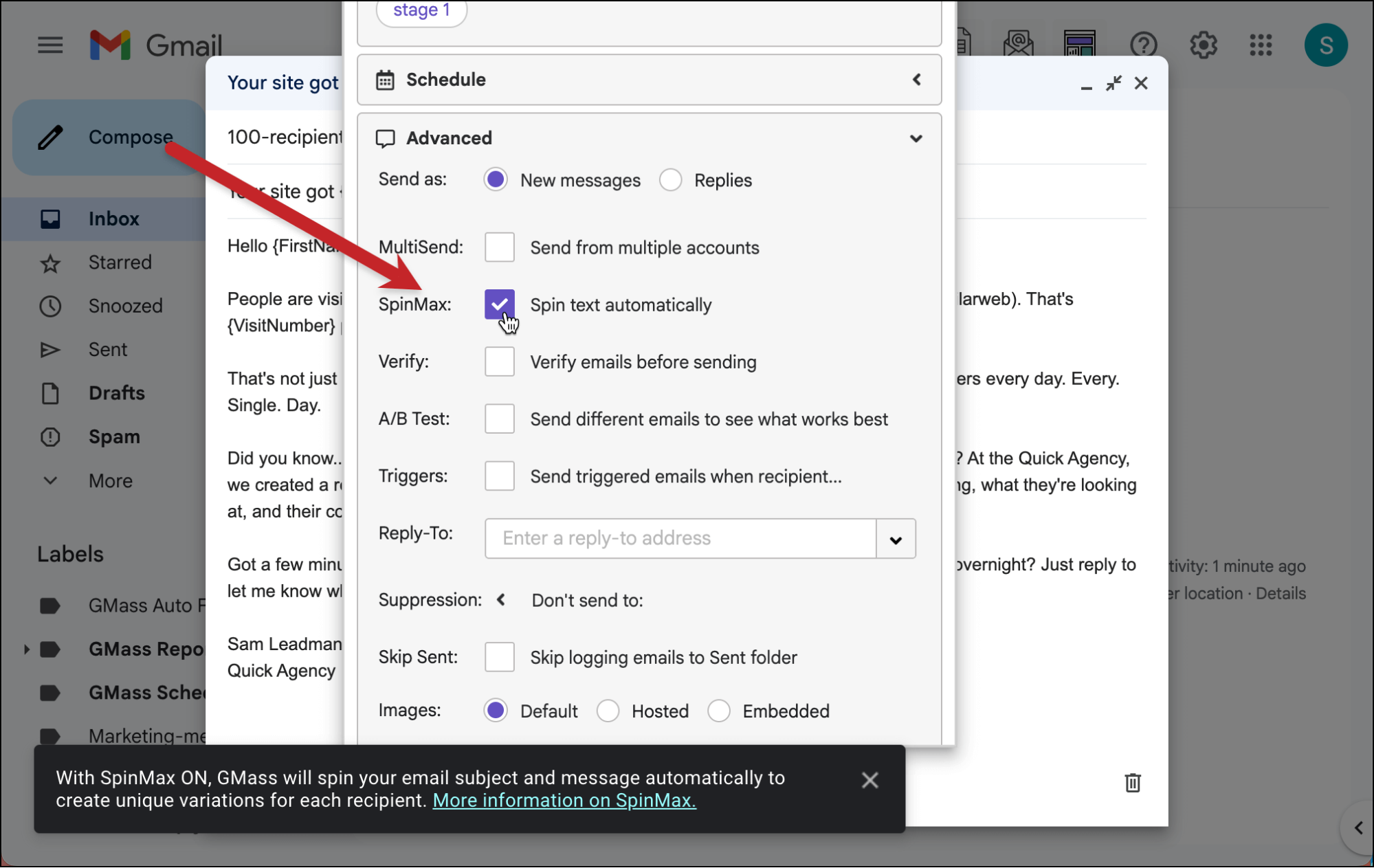 How to use SpinMax in the GMass settings box